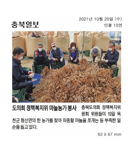 정책복지위원회 생산적 일손봉사 참여 - 1