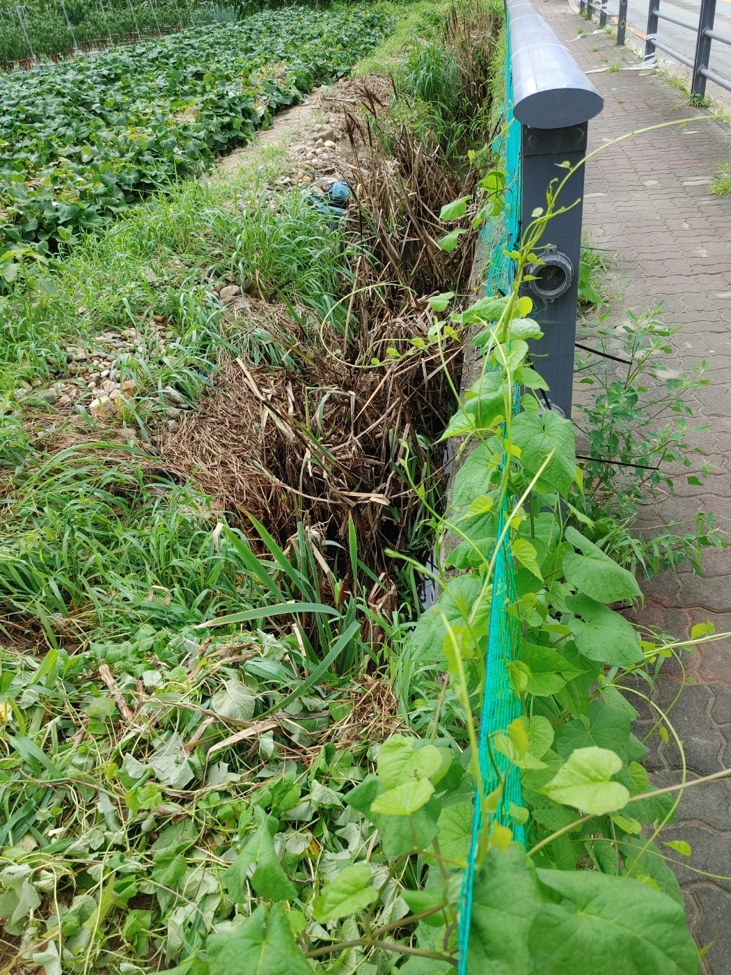 김현문 위원장, 사천배수펌프장 인근 현지 확인 - 5