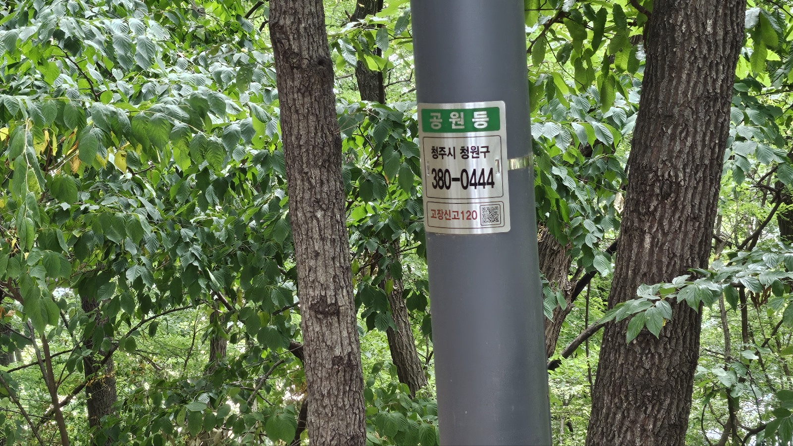김현문 위원장, 사천근린공원 현장방문 - 4