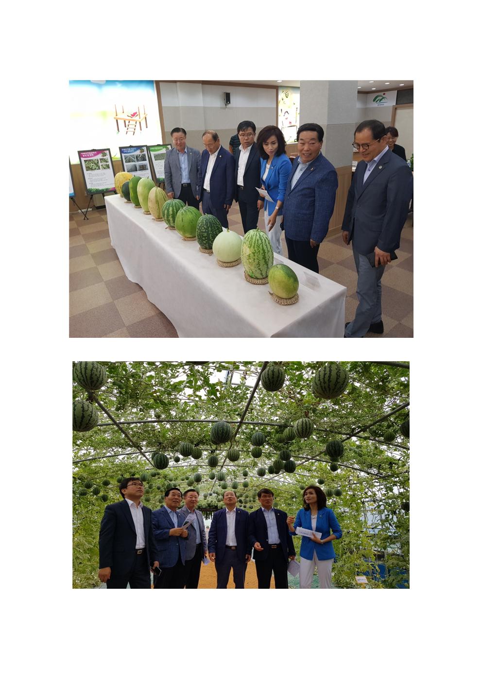 산업경제위원회 수박연구소 업무 추진상황 및 시설견학 - 2