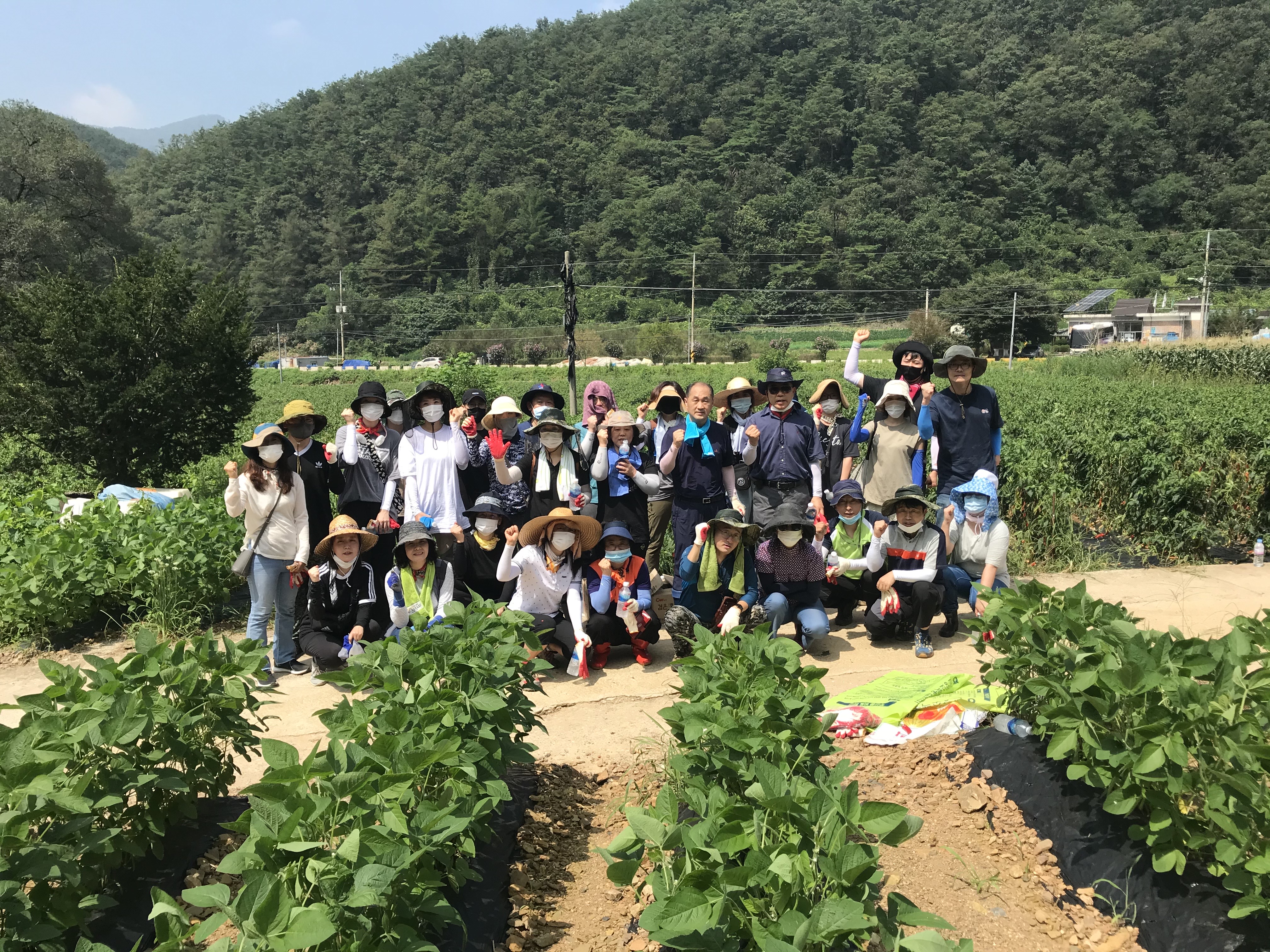 충북도의회 폭우피해지역 수해복구 실시 - 3