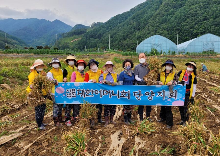 충북도의회 오영탁 의원, 농촌 일손봉사 실시 - 1