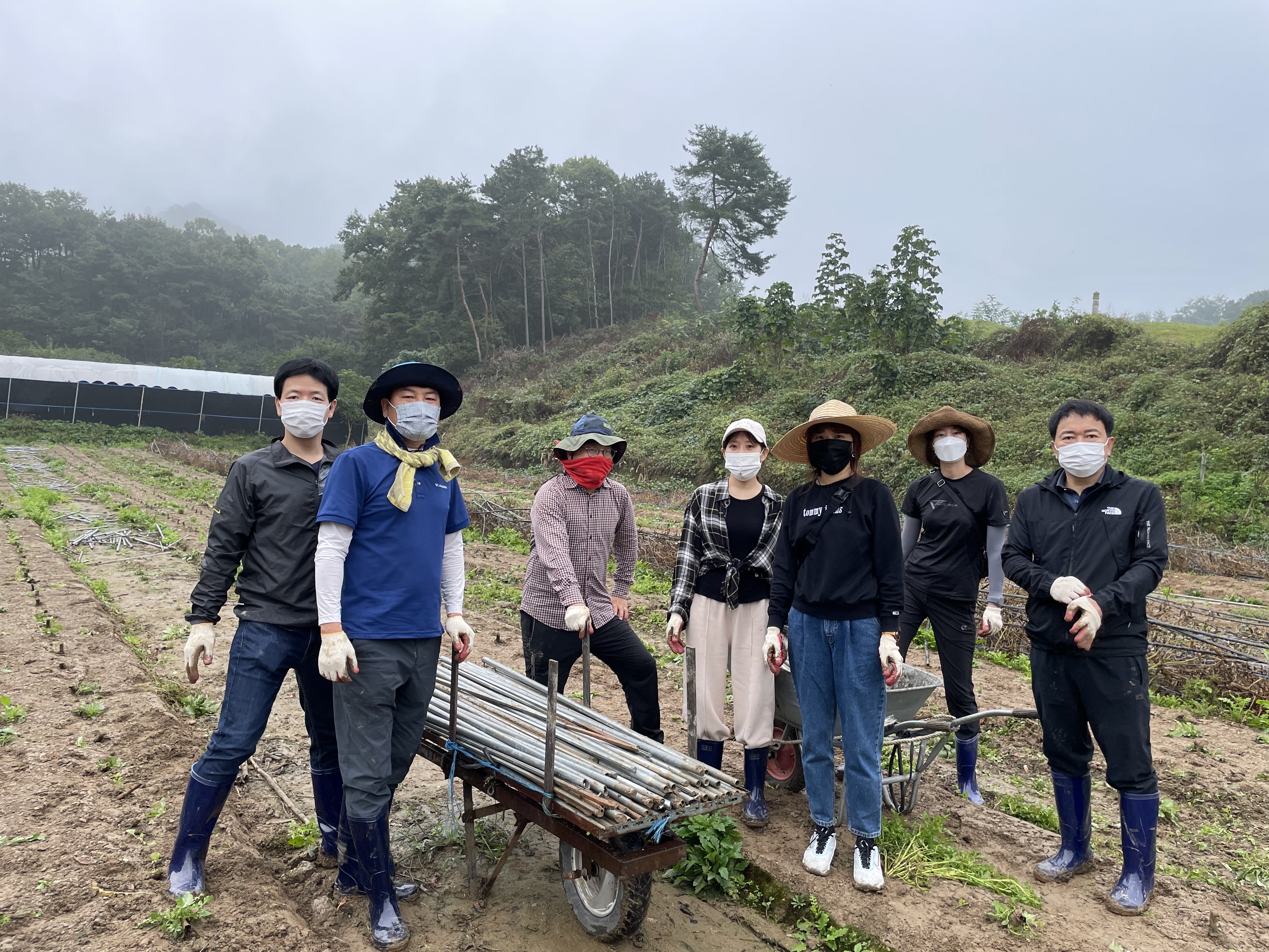 충북도의회 건설환경소방위원회, 생산적 일손봉사 참여 - 1