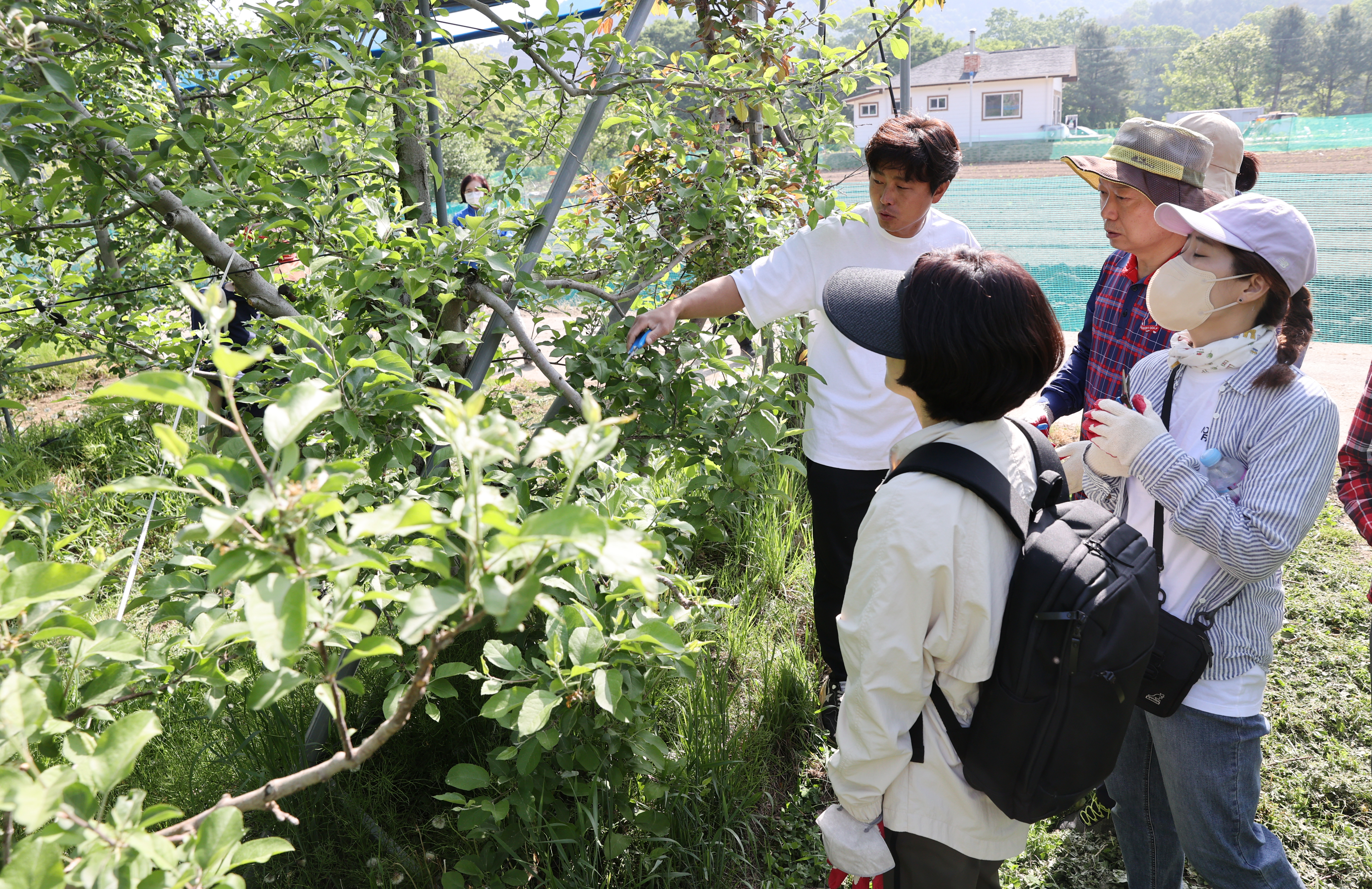 충북도의회 일손이 부족한 농가 찾아 구슬땀 흘려 - 1