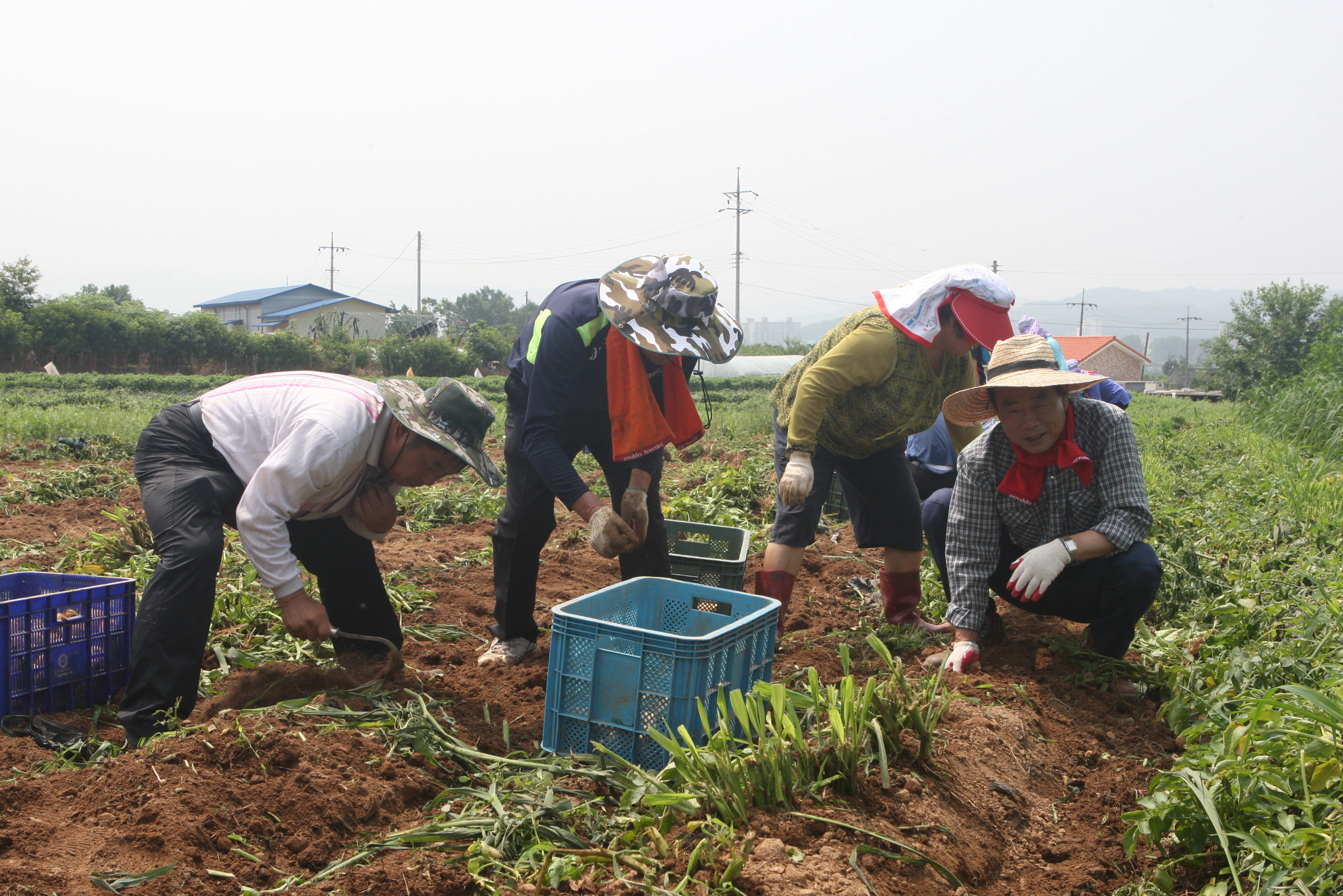 충북도의회, 취임1주년 봉사활동 - 1