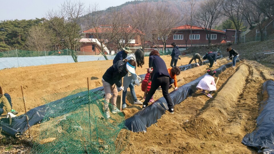 “도의회 의사담당관실, 성보나의 집”봉사활동 - 1