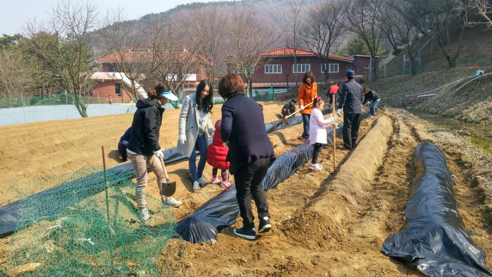 “도의회 의사담당관실, 성보나의 집”봉사활동 - 2