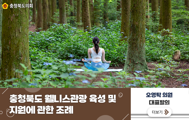 충청북도 웰니스관광 육성 및 지원에 관한 조례